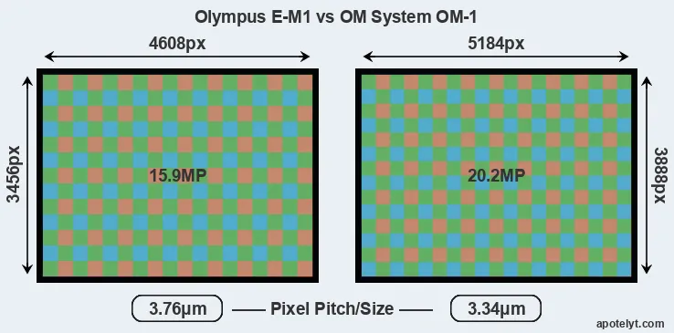 E-M1 versus OM-1 MP