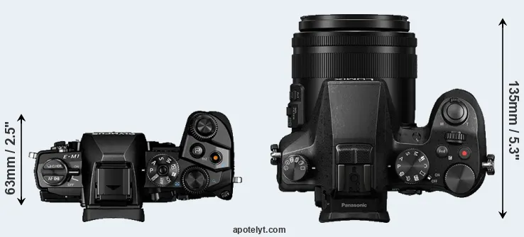 Compare E-M1 versus FZ2000 top