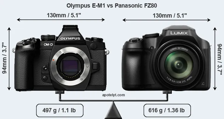 Size Olympus E-M1 vs Panasonic FZ80