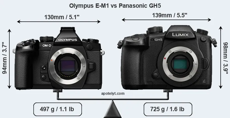 Size Olympus E-M1 vs Panasonic GH5