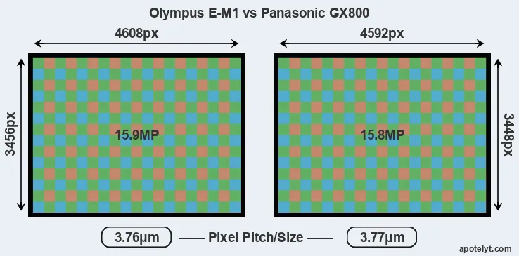 E-M1 versus GX800 MP
