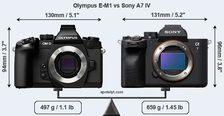 Size Olympus E-M1 vs Sony A7 IV