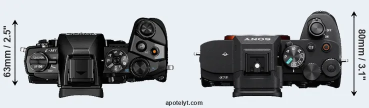 Compare E-M1 versus A7 IV top