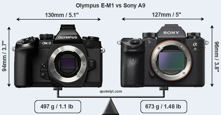 Size Olympus E-M1 vs Sony A9