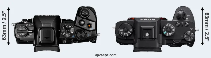 Compare E-M1 versus A9 top