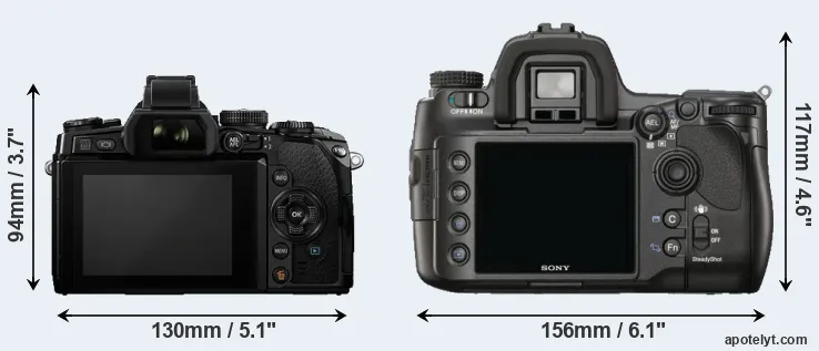 Comparison E-M1 or A900 rear