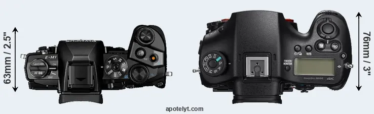 Compare E-M1 versus A99 II top