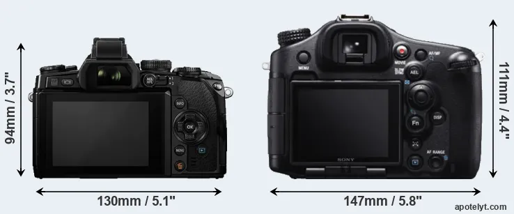 Comparison E-M1 or A99 rear