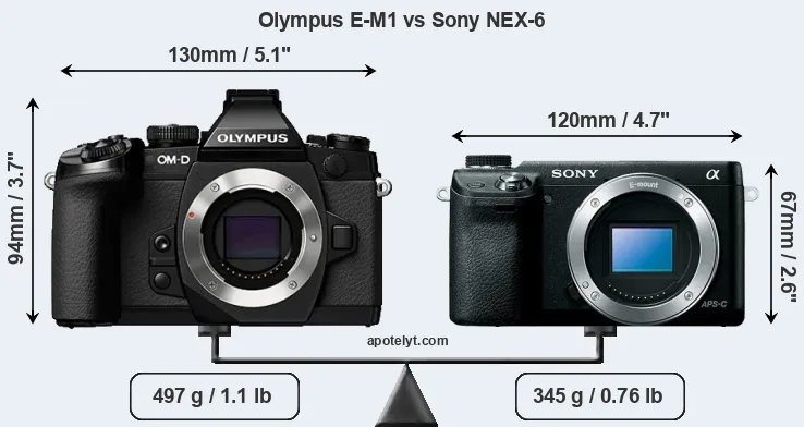 Size Olympus E-M1 vs Sony NEX-6