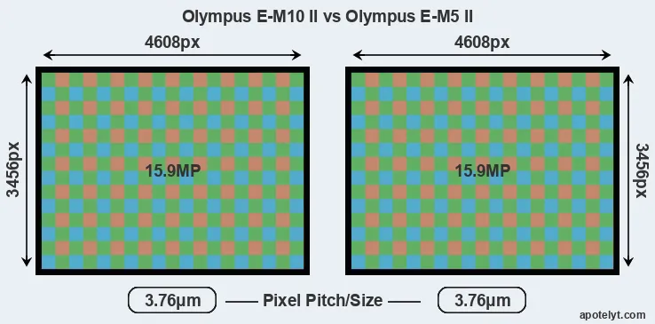 E-M10 II versus E-M5 II MP
