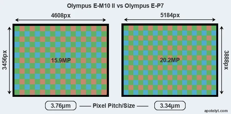 E-M10 II versus E-P7 MP