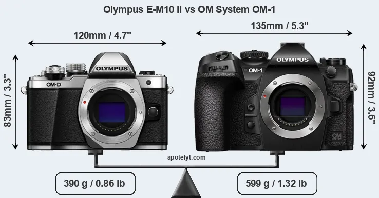 Size Olympus E-M10 II vs OM System OM-1