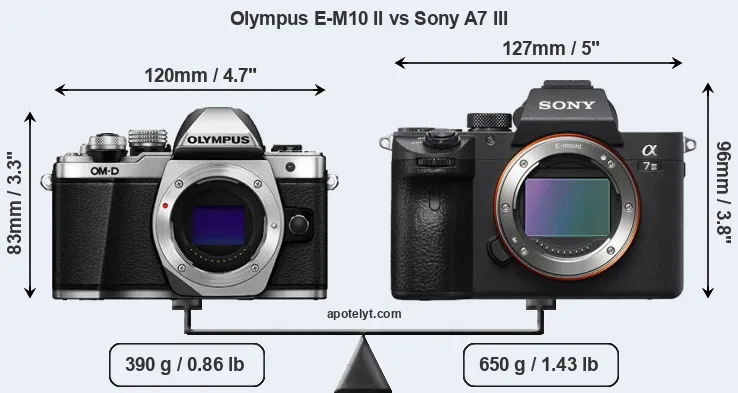 Size Olympus E-M10 II vs Sony A7 III