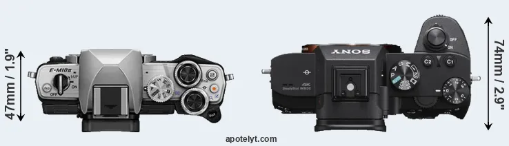 Compare E-M10 II versus A7 III top