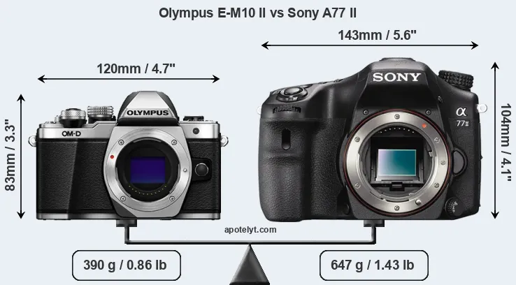 Size Olympus E-M10 II vs Sony A77 II