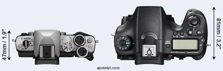 Compare E-M10 II versus A77 II top