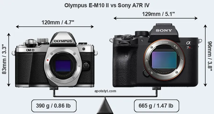 Size Olympus E-M10 II vs Sony A7R IV