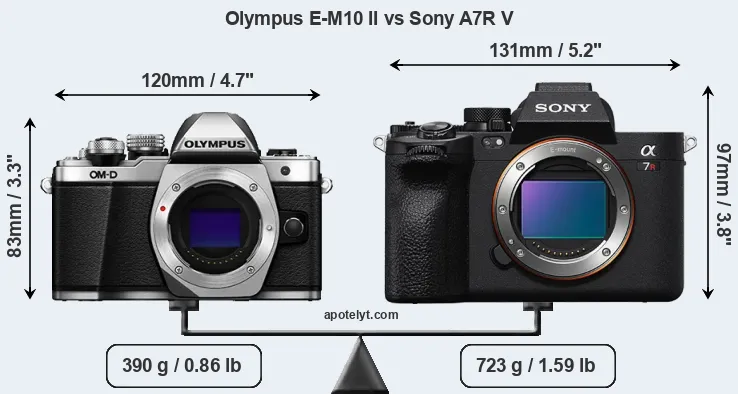 Size Olympus E-M10 II vs Sony A7R V