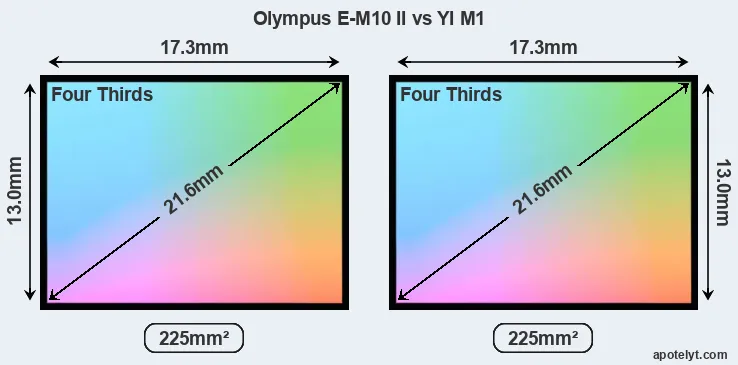 Olympus E-M10 II and YI M1 sensor measures