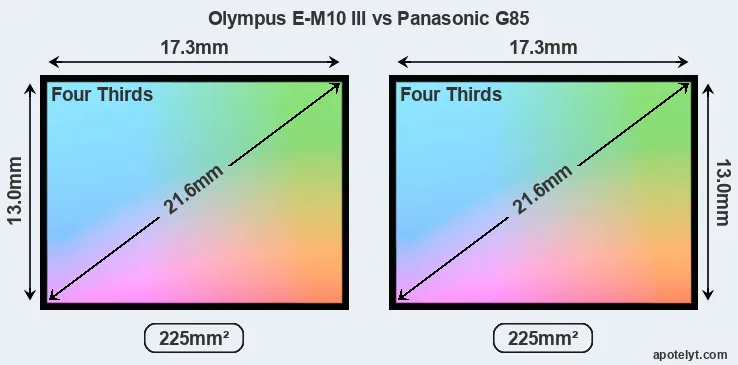 Olympus E-M10 III and Panasonic G85 sensor measures