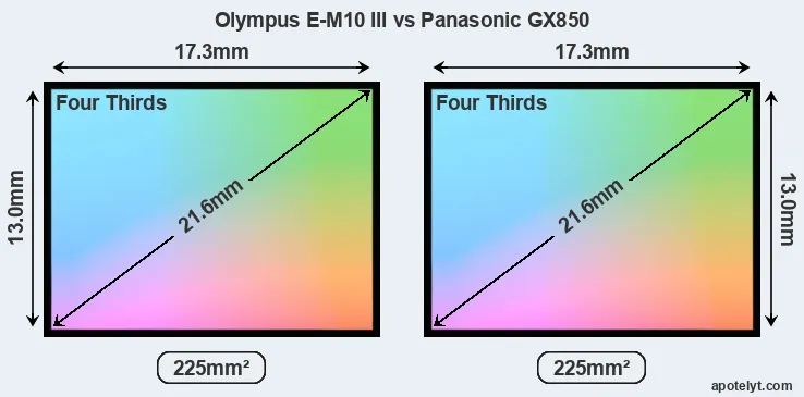 Olympus E-M10 III and Panasonic GX850 sensor measures