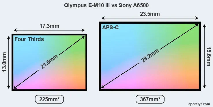 Olympus E-M10 III and Sony A6500 sensor measures