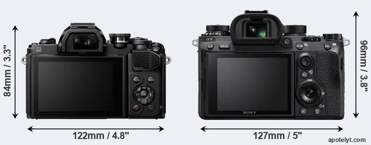 Comparison E-M10 III or A9 rear