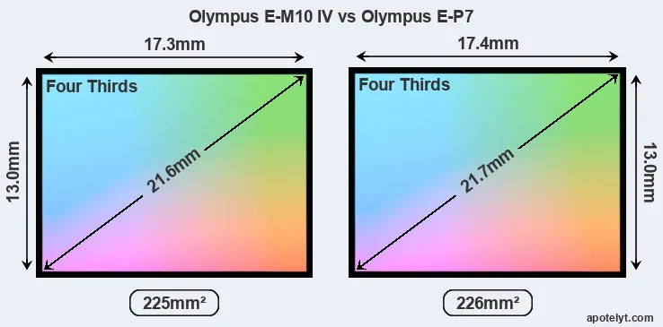 Olympus E-M10 IV and Olympus E-P7 sensor measures
