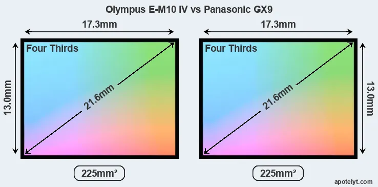 Olympus E-M10 IV and Panasonic GX9 sensor measures