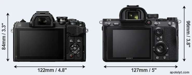 Comparison E-M10 IV or A7 III rear
