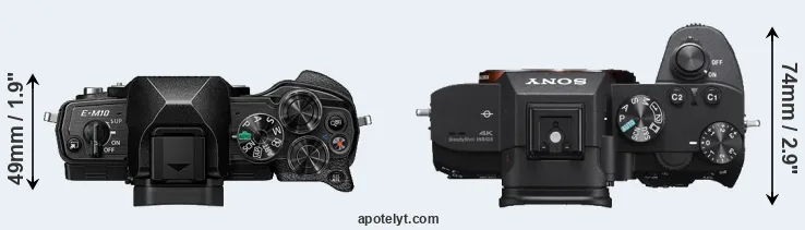 Compare E-M10 IV versus A7 III top