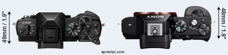 Compare E-M10 IV versus A7 top