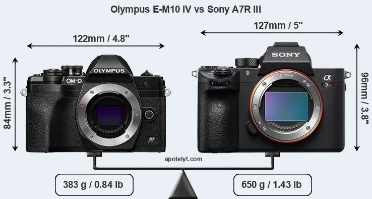 Size Olympus E-M10 IV vs Sony A7R III