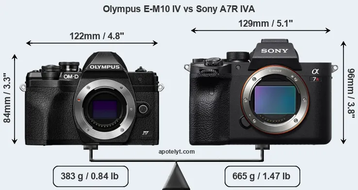 Size Olympus E-M10 IV vs Sony A7R IVA