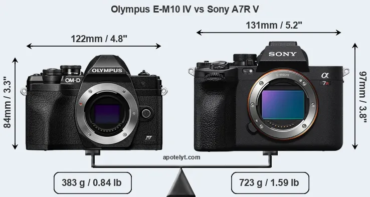 Size Olympus E-M10 IV vs Sony A7R V