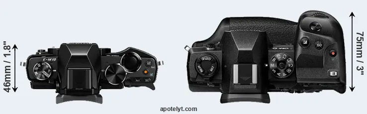 Compare E-M10 versus E-M1X top