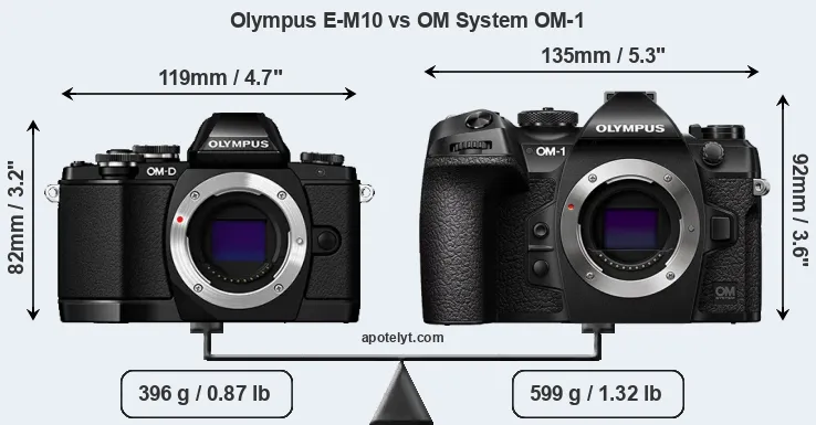 Size Olympus E-M10 vs OM System OM-1