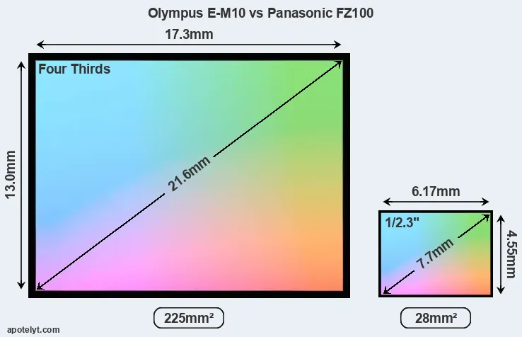 Olympus E-M10 and Panasonic FZ100 sensor measures