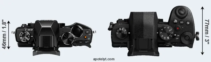 Compare E-M10 versus G95 top