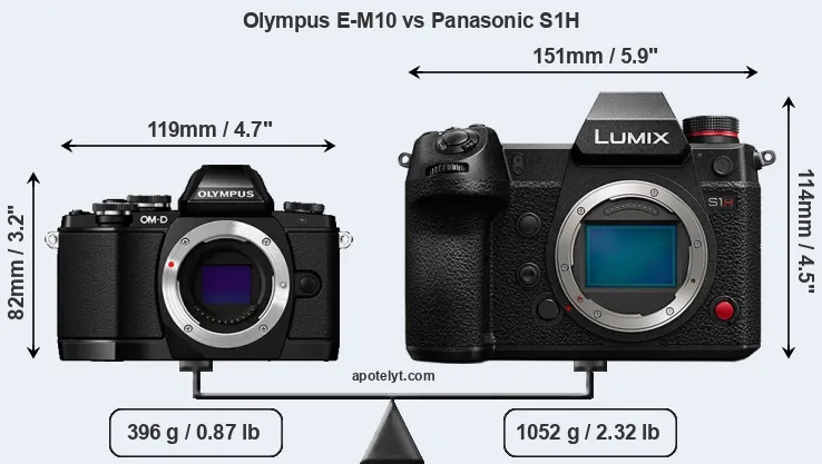 Size Olympus E-M10 vs Panasonic S1H