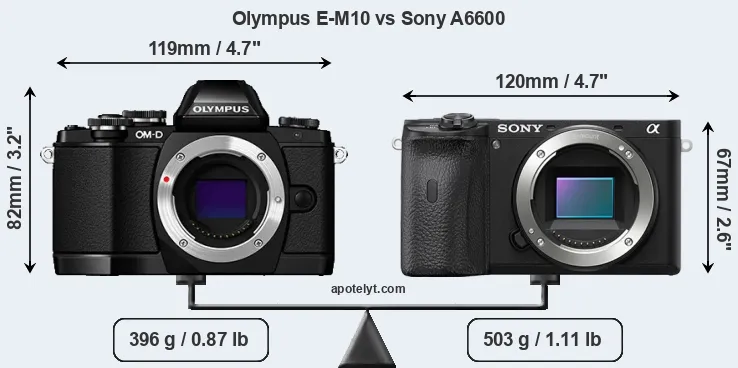 Size Olympus E-M10 vs Sony A6600
