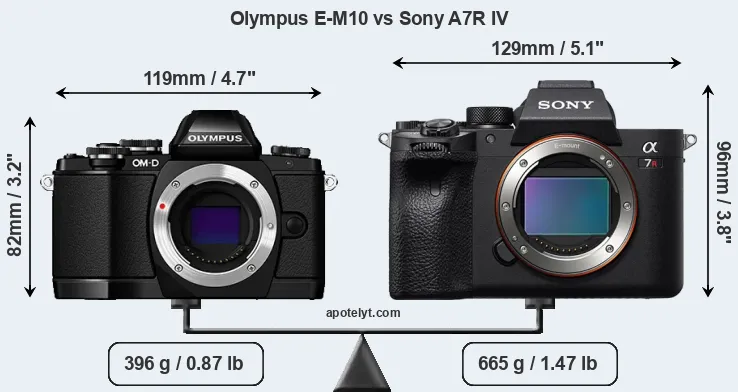 Size Olympus E-M10 vs Sony A7R IV