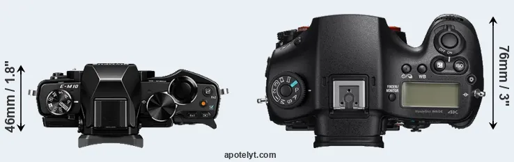 Compare E-M10 versus A99 II top