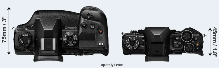 Compare E-M1X versus E-M5 II top
