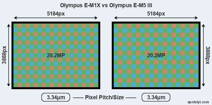 E-M1X versus E-M5 III MP
