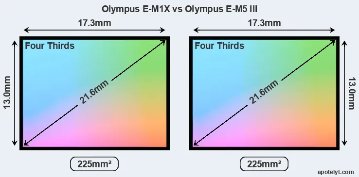 Olympus E-M1X and Olympus E-M5 III sensor measures