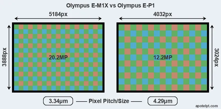 E-M1X versus E-P1 MP