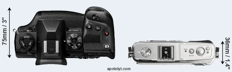 Compare E-M1X versus E-P1 top