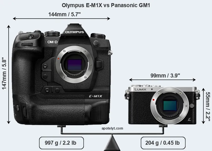 Size Olympus E-M1X vs Panasonic GM1