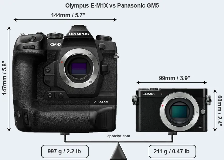 Size Olympus E-M1X vs Panasonic GM5
